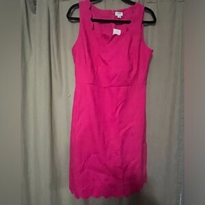 J. Crew JCREW Pique Fuschia Scallop Dress sz 6 New NWT preppy classic